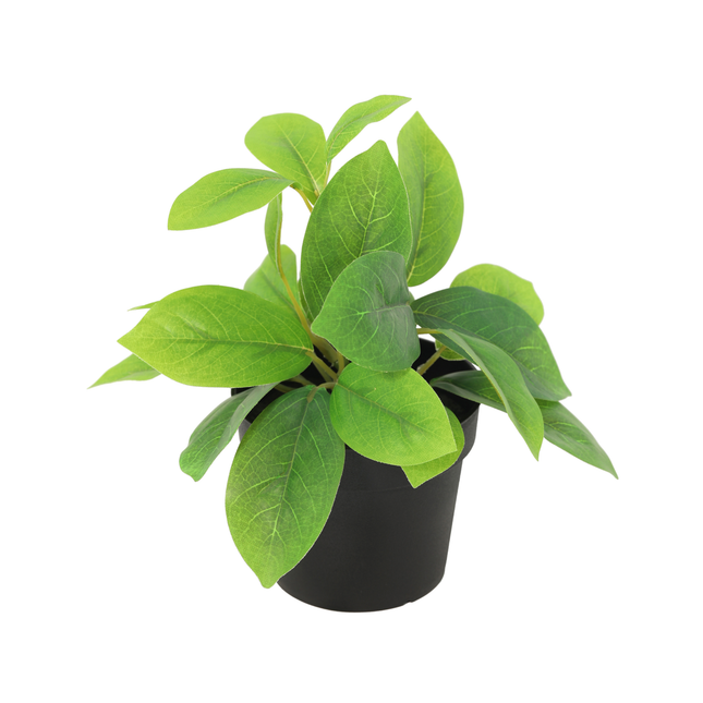 Kunstplant Hoya green - ↕20cm