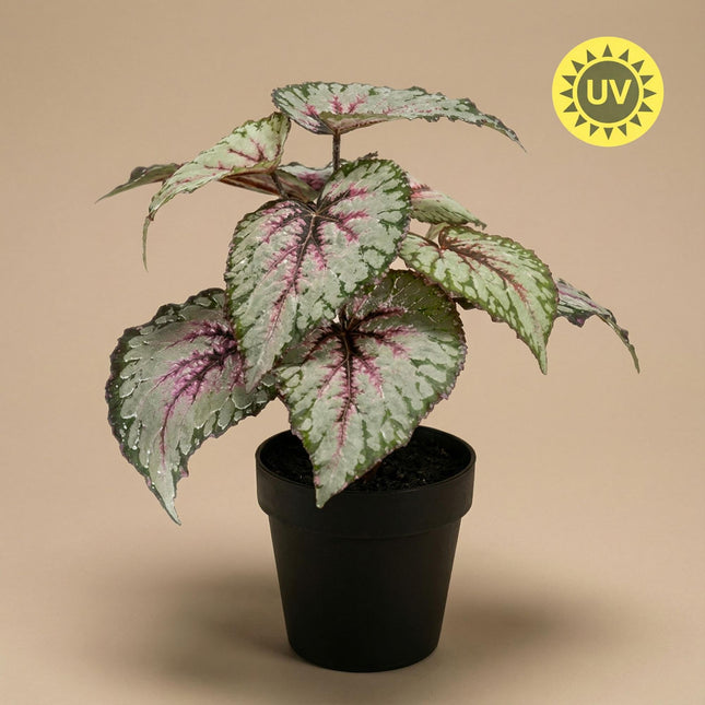 Kunstplant Begonia in pot - ↕26 cm