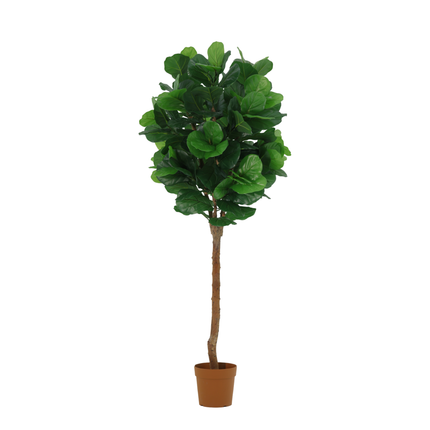 Kunstplant Ficus lyrata tree - ↕180cm