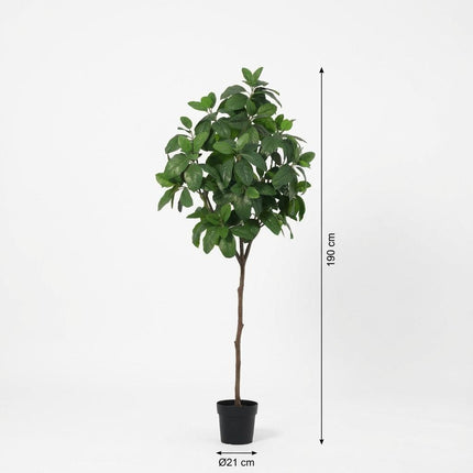 Kunstplant Magnolia - ↕190cm