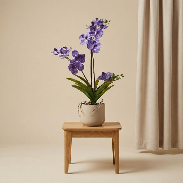 Kunstplant Orchidee Vanda in pot - ↕60cm