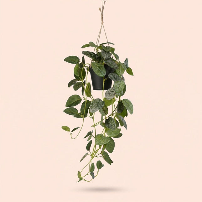 Kunstplant Fittonia - hangplant in pot - ↕70cm