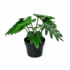 Collection image for: Kleine Kunstplanten