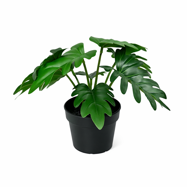 Kunstplant Philodendron Xanadu - ↕20cm