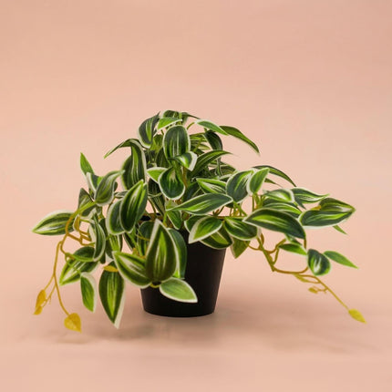 Kunstplant Tradescantia Groen/Wit - ↕17cm - Ø19cm