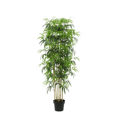 Collection image for: Bamboe Kunstplant