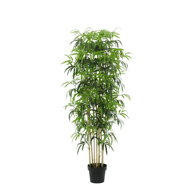 Kunstplant Bamboe - ↕150cm