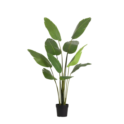 Kunstplant Strelitzia Nicolai - ↕180cm