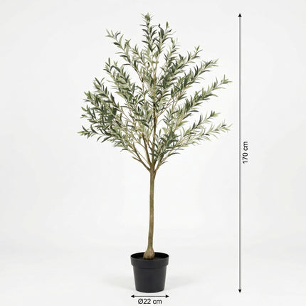 Kunstplant Olijfboom - ↕170cm