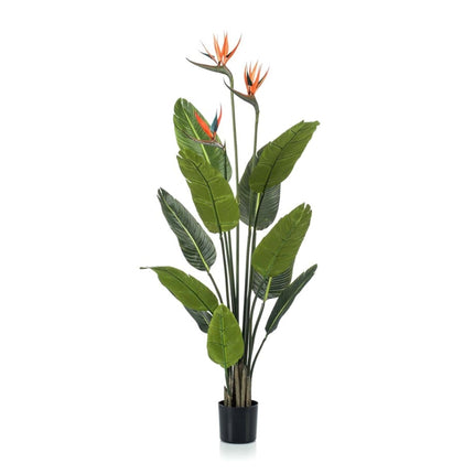 Kunstplant Strelitzia met bloemen - In zwarte pot - ↕120cm