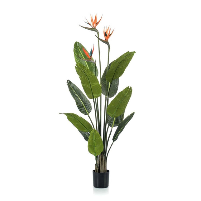 Kunstplant Strelitzia met bloemen - In zwarte pot - ↕120cm
