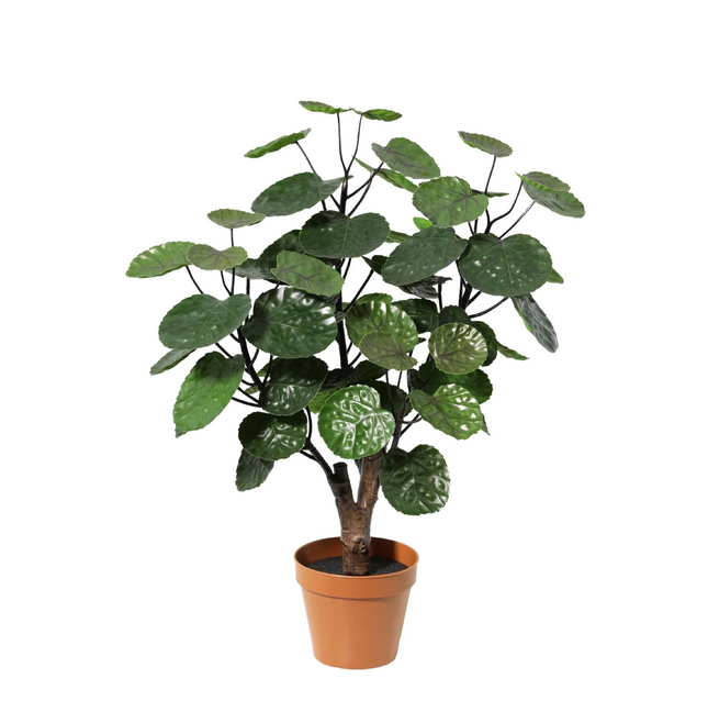 Kunstplant Polysicas Fabian - ↕53cm