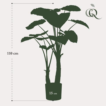 Kunstplant Alocasia - Olifantsoor - ↕110cm