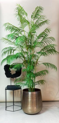 Kunstplant Chamaedorea Elegans - Bergpalm - ↕180cm - Ø14cm