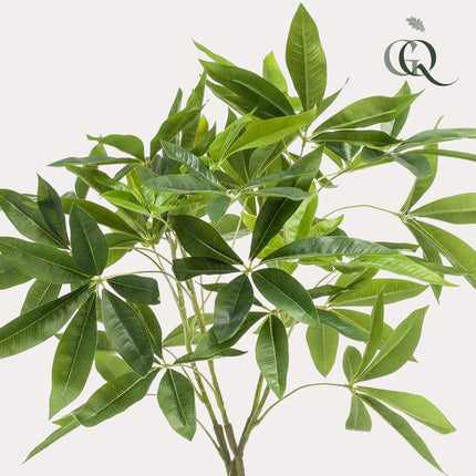Kunstplant Pachira Aquatica - Geldboom - ↕90cm - Ø15cm