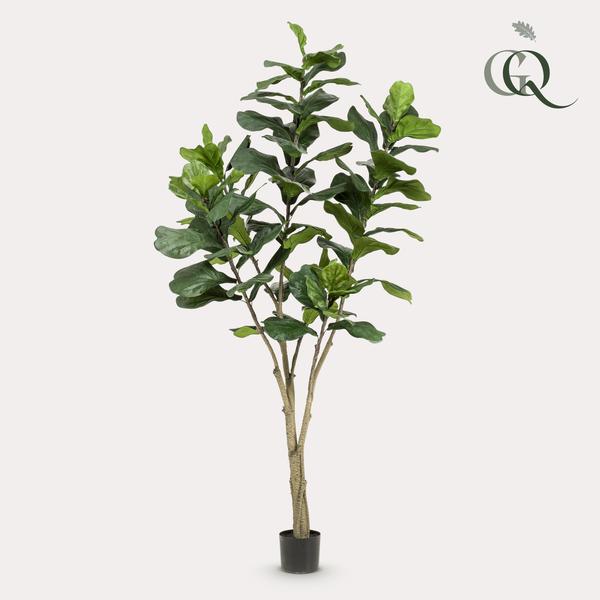 Kunstplant Ficus Lyrara - Tabaksplant - ↕210cm - Ø17cm