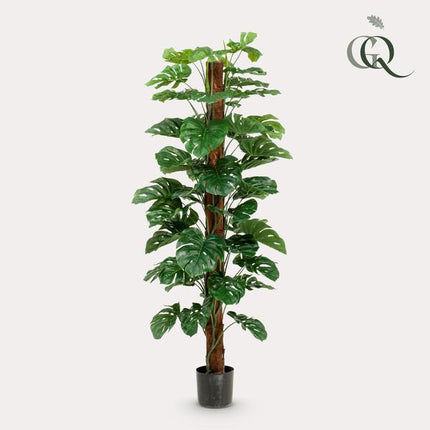 Kunstplant Monstera Deliciosa - ↕180cm - Ø17cm