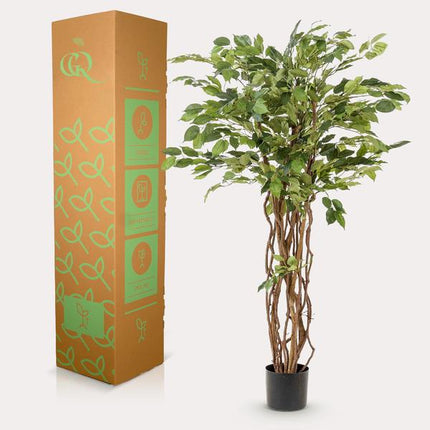 Kunstplant Ficus liana - Vioolbladplant - ↕140cm