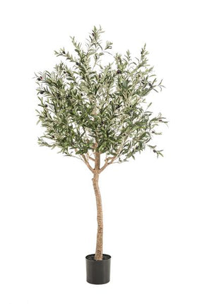 Kunst Olijfboom - Olea europaea - Olijfboom - ↕180cm - Ø15cm