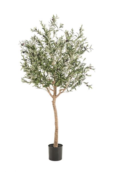 Kunst Olijfboom - Olea Europaea - ↕180cm - Ø15cm
