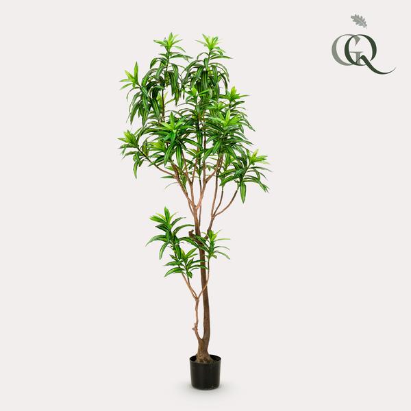 Kunstplant Dracaena - Drakenboom - ↕190cm - Ø17cm