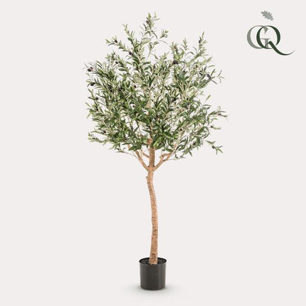 Kunst Olijfboom - Olea europaea - Olijfboom - ↕180cm - Ø15cm
