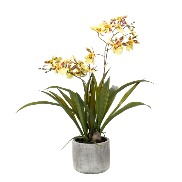 Kunstplant Orchidee - Geel - ↕45cm - Ø16cm