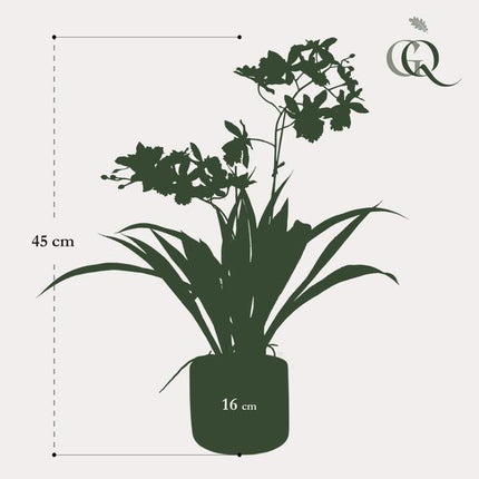 Kunstplant Orchidee - Geel - ↕45cm - Ø16cm