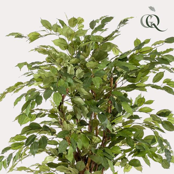 Kunstplant Ficus liana - Vioolbladplant - ↕170cm