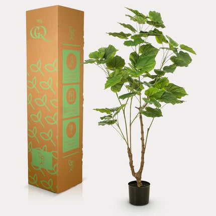 Kunstplant Ficus umbellate - Afrikaanse vijg - ↕125cm