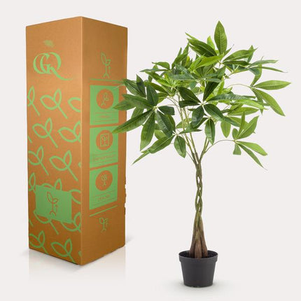 Kunstplant Pachira Aquatica - Geldboom - ↕90cm - Ø15cm