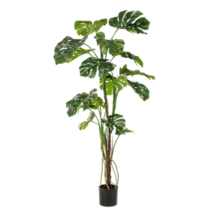 Kunstplant Monstera - Gatenplant - ↕180cm - Ø17cm