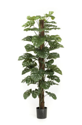 Kunstplant Monstera Deliciosa - ↕180cm - Ø17cm