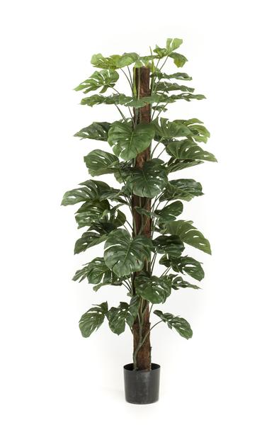 Kunstplant Monstera Deliciosa - ↕180cm - Ø17cm
