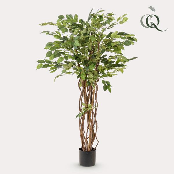 Kunstplant Ficus liana - Vioolbladplant - ↕140cm