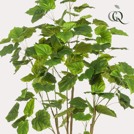 Kunstplant Ficus umbellate - Afrikaanse vijg - ↕180cm - Ø17cm