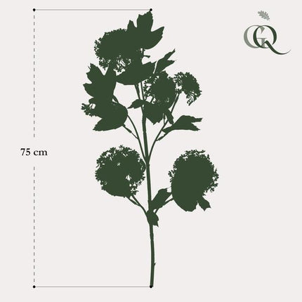 Kunstbloemen Solo - Crème - Viburnum Opulus Branches - 4x - ↕75cm