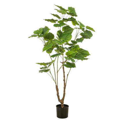 Kunstplant Ficus umbellate - Afrikaanse vijg - ↕125cm