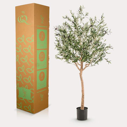Kunst Olijfboom - Olea europaea - Olijfboom - ↕180cm - Ø15cm