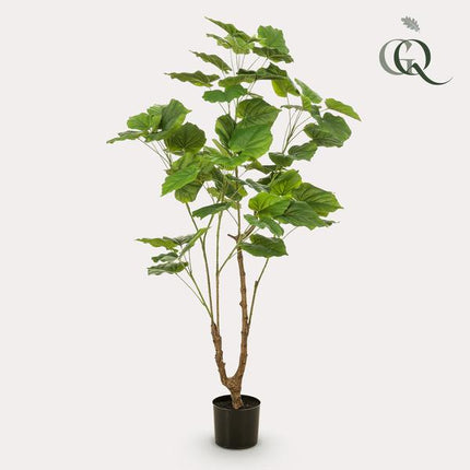 Kunstplant Ficus umbellate - Afrikaanse vijg - ↕125cm