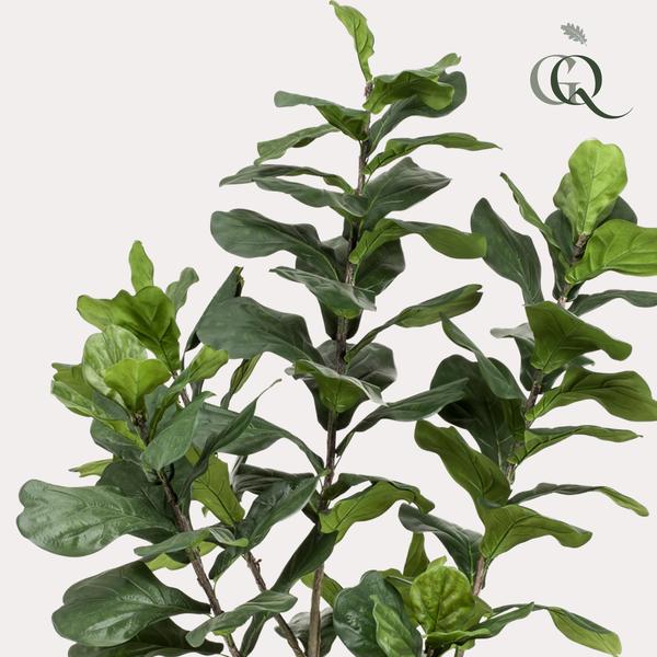 Kunstplant Ficus Lyrara - Tabaksplant - ↕210cm - Ø17cm