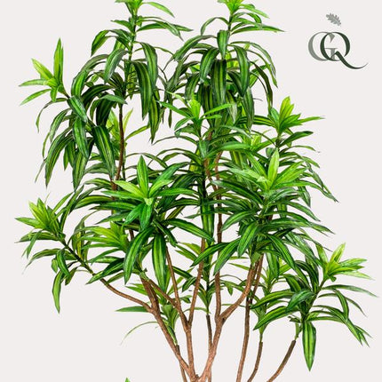 Kunstplant Dracaena - Drakenboom - ↕190cm - Ø17cm
