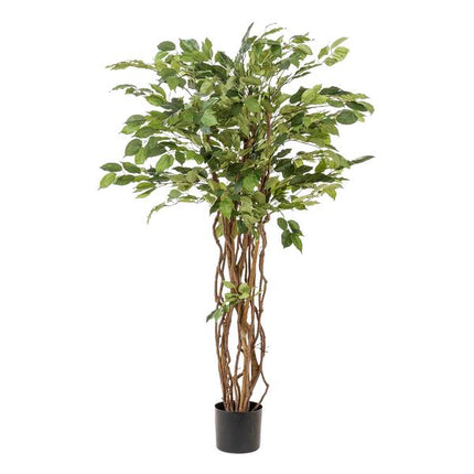 Kunstplant Ficus liana - Vioolbladplant - ↕140cm