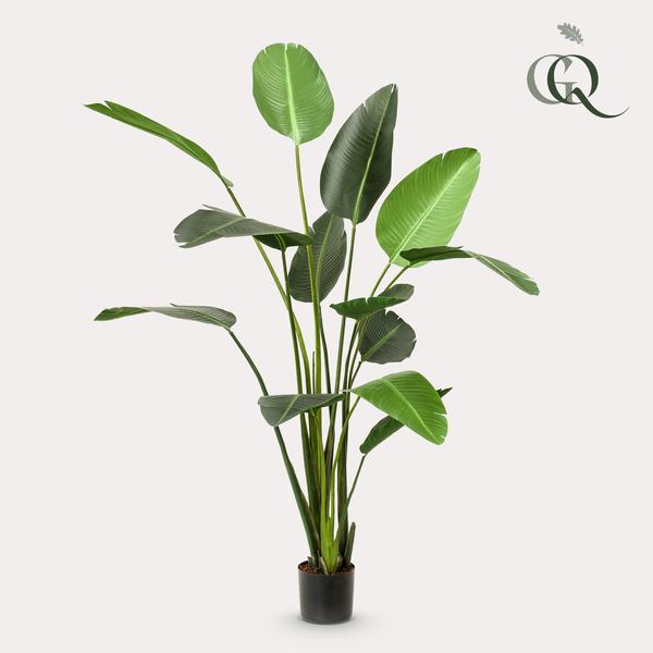 Kunstplant Strelitzia Nicolai - Paradijsvogelbloem - ↕230cm - Ø17cm