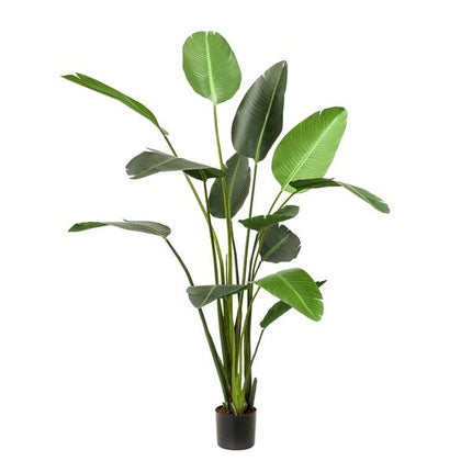 Kunstplant Strelitzia Nicolai - Paradijsvogelbloem - ↕230cm - Ø17cm