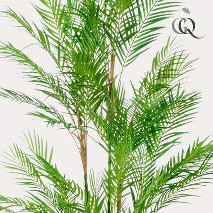 Kunstplant Chamaedorea Elegans - Bergpalm - ↕180cm - Ø14cm