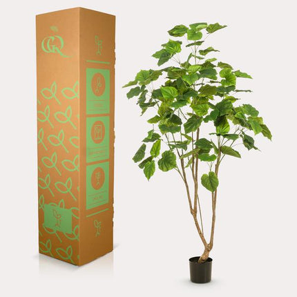 Kunstplant Ficus umbellate - Afrikaanse vijg - ↕180cm - Ø17cm