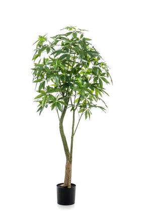 Kunstplant Pachira Aquatica - Geldboom - ↕180cm - Ø15cm