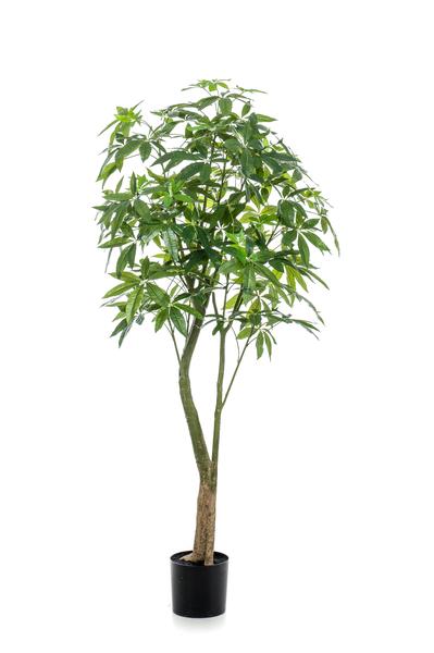 Kunstplant Pachira Aquatica - Geldboom - ↕180cm - Ø15cm