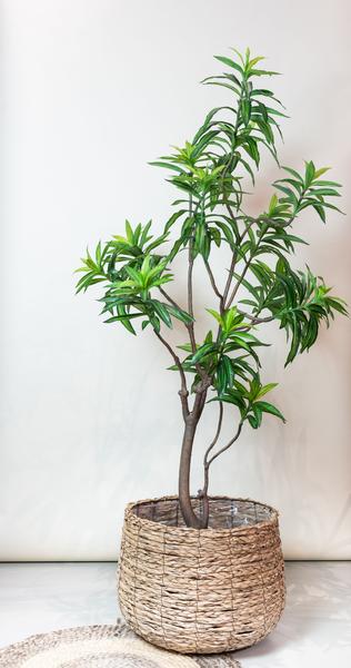 Kunstplant Dracaena - Drakenboom - ↕190cm - Ø17cm